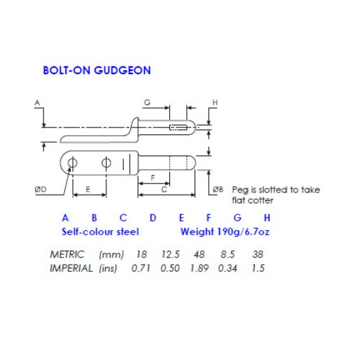 Tailboard Hinge Pins BoltOn Self Colour 50mm Long Pin, 30x84mm Base